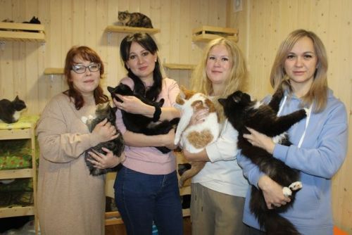 «Всех не спасти» – так говорят многие. И в итоге не помогают никому