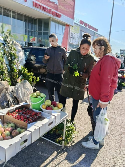 Азнакайда көзге ярминкәләр старт алды