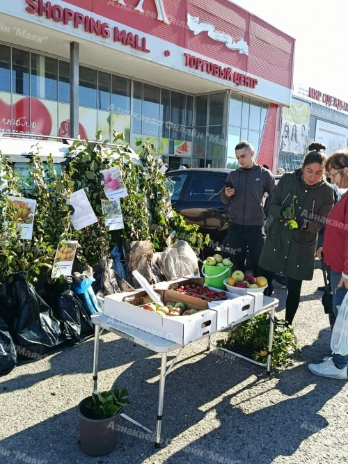 Азнакайда көзге ярминкәләр старт алды