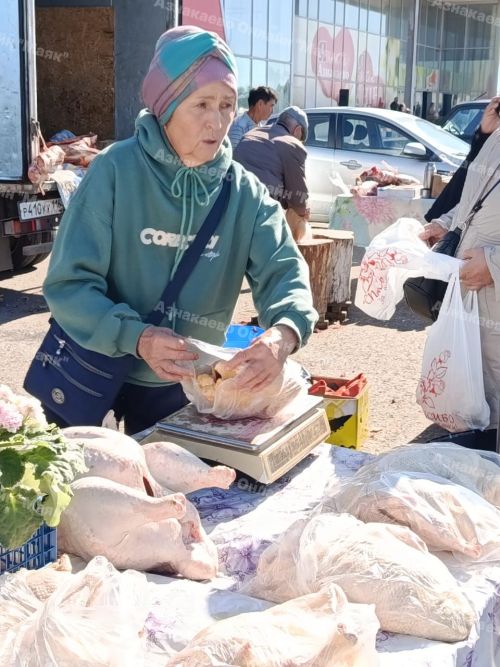 Азнакайда көзге ярминкәләр старт алды