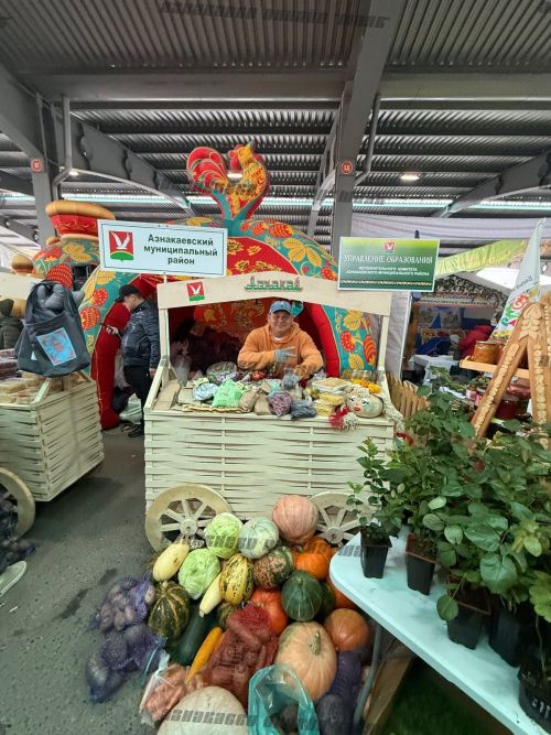 Азнакайның мәгариф хезмәткәрләре Казан ярминкәсен гөрләттеләр