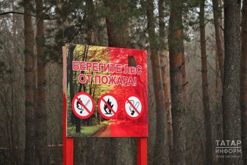 В Татарстане объявлена высокая пожарная опасность в лесах