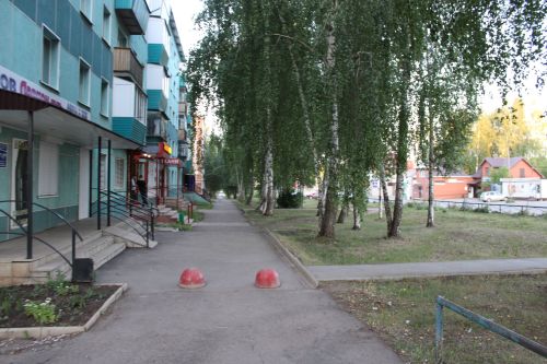Сажаете дерево у дома? Проверьте, не рискуете ли вы фундаментом!
