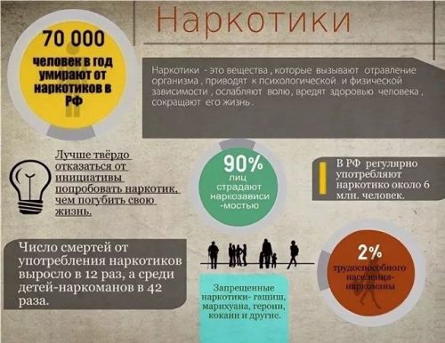 Наркотики – путь в пропасть: профилактика и бдительность