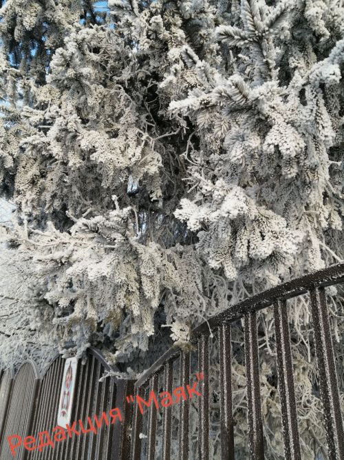 Татарстанга каты салкыннар килә