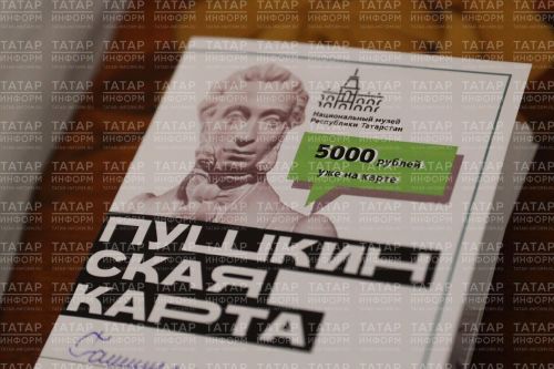 Количество пользователей Пушкинской карты в Татарстане превысило отметку в 384 тысячи человек