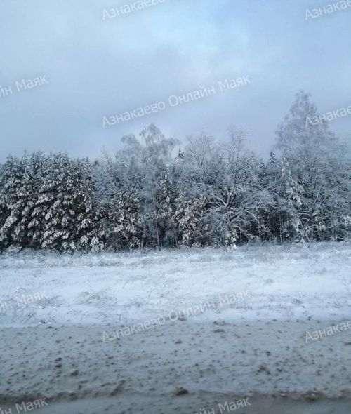 Прогноз погоды на 1 февраля: метель и гололедица