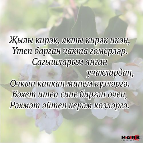 Альбина Мортазинаның иҗаты