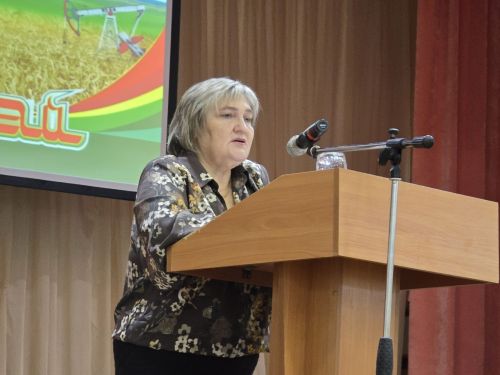 Поддержка в тылу