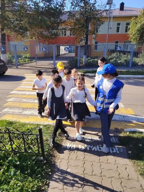 Вместе за безопасность на дорогах