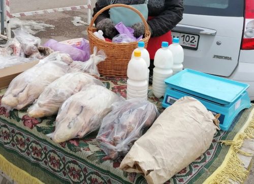Азнакайда көзге авыл хуҗалыгы ярминкәсе узачак