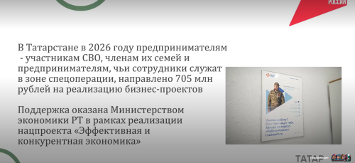 Татарстан направил 705 млн рублей на поддержку бизнеса участников СВО и их семей