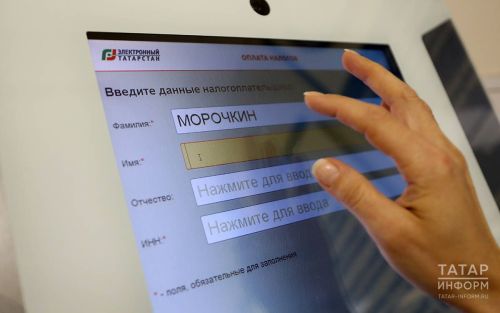 Татарстанцы могут проверить свои соцвыплаты онлайн на «Госуслугах»