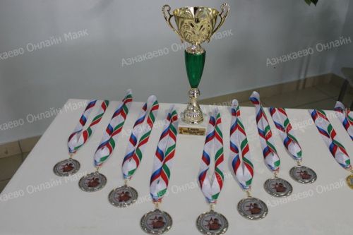 В Азнакаево проходит турнир по футболу памяти героически погибшего бойца