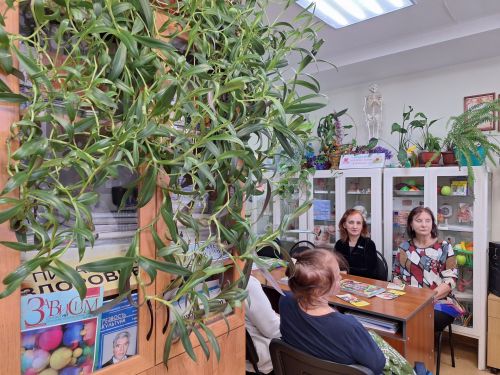 Школа активного долголетия в Азнакаево: как укрепить иммунитет в любом возрасте