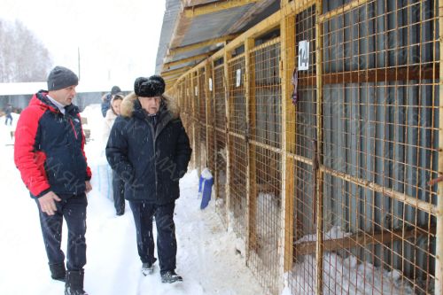 “Приют кешеләр һәм хайваннар иминлеге өчен бик кирәк»: депутат Азнакайдагы үзәкнең эшен бәяләде