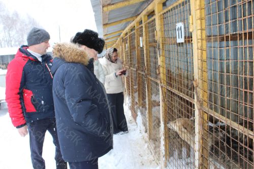 “Приют кешеләр һәм хайваннар иминлеге өчен бик кирәк»: депутат Азнакайдагы үзәкнең эшен бәяләде