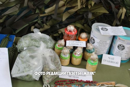 В селе Сухояш прошел выездной семинар председателей сельских советов ветеранов