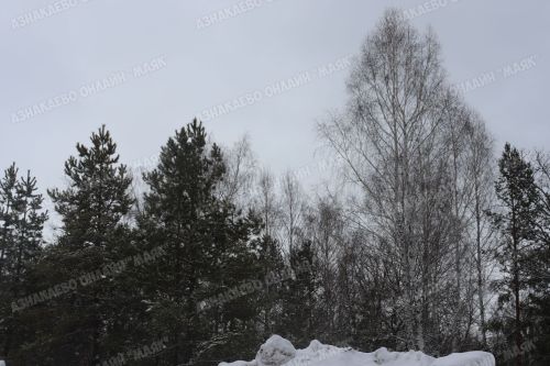 Фронтка – агач материаллары