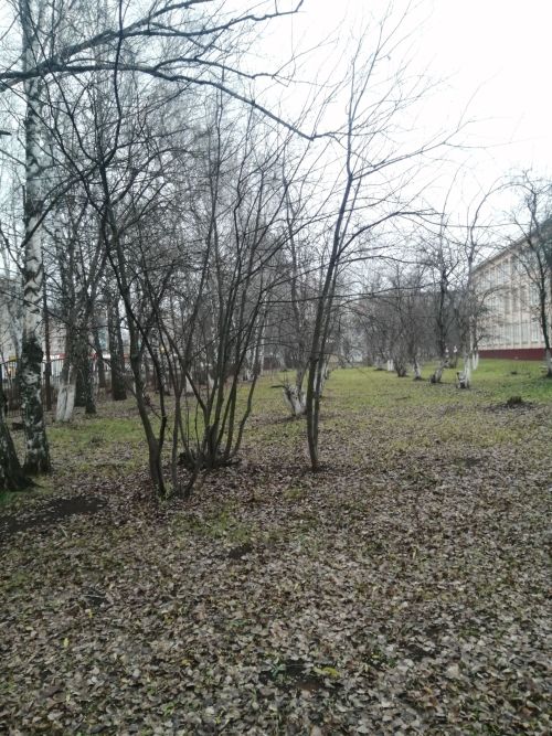 В Татарстане сохранится тёплая погода, но к концу недели возможны дожди