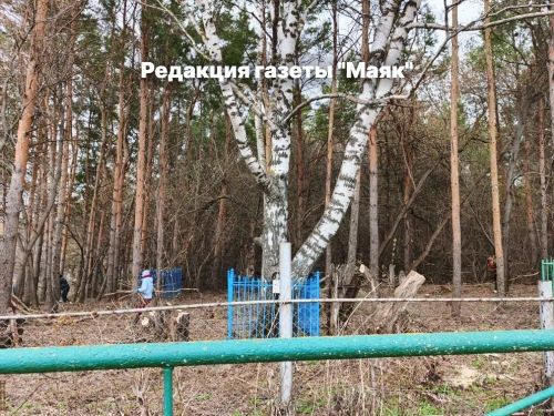 В Алькеево на субботник вышли все – от мала до велика