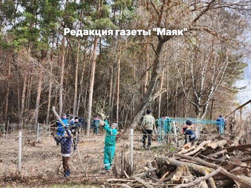 В Алькеево на субботник вышли все – от мала до велика
