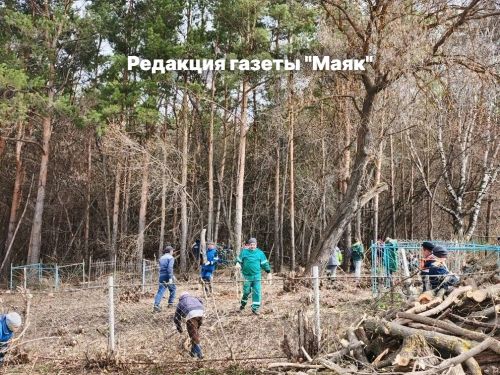 В Алькеево на субботник вышли все – от мала до велика