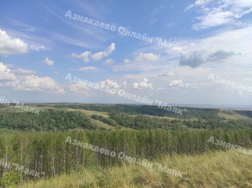 В Татарстане стартует весенний этап природоохранной акции «Чистые леса Татарстана»