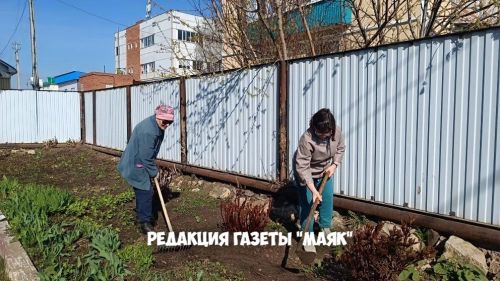 Санитар икеайлык бара