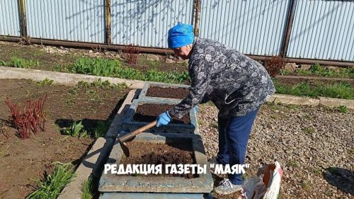 Санитар икеайлык бара