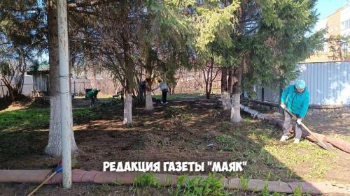Санитар икеайлык бара