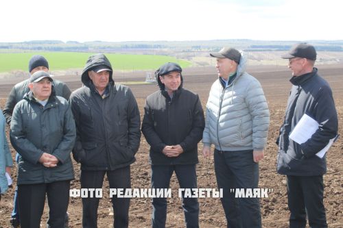 Азнакай районы басуларында язгы кыр эшләре гөрләп бара