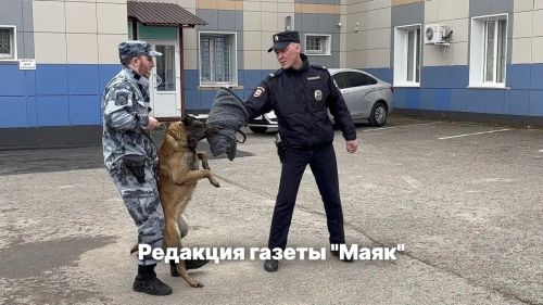 Азнакайда мәктәп укучылары полиция кинологлары эше белән танышты