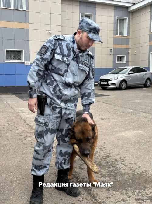 Азнакайда мәктәп укучылары полиция кинологлары эше белән танышты