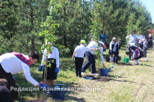 Аллея выпускников и первоклассников появилась в поселке Актюбинский