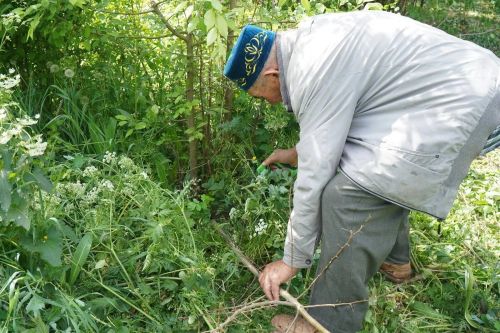 На старо-татарском кладбище в Азнакаево прошёл субботник с участием земляков