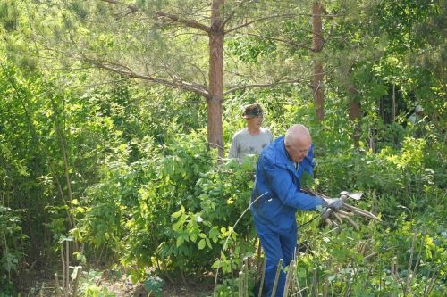 На старо-татарском кладбище в Азнакаево прошёл субботник с участием земляков