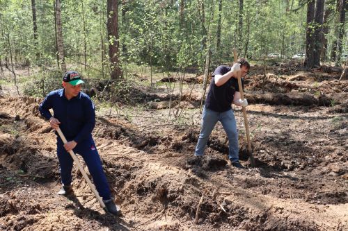 Более тысячи елей высадили сотрудники Госкомитета РТ по тарифам в Лаишевском районе