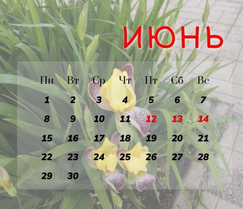Как отдыхаем в июне 2026 в Татарстане: длинные выходные на День России