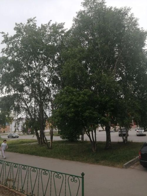 Прогноз погоды в Азнакаево на 7 июня