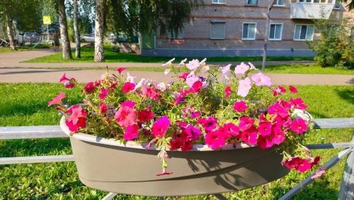 Благоустройство Азнакаево: чистота и комфорт каждый день