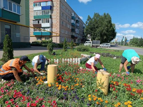 С любовью к городу: работа сотрудников АО “МППБиО +”