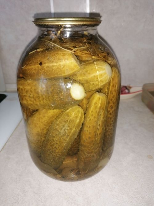 Кышка әзерләнәбез .Тозлы кыяр
