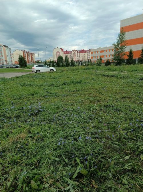 Покос травы в Азнакаево идёт полным ходом!