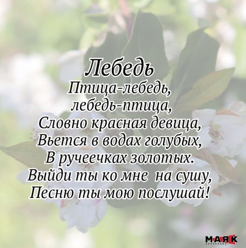 Стихи Дарины Аксановой
