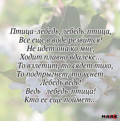 Стихи Дарины Аксановой
