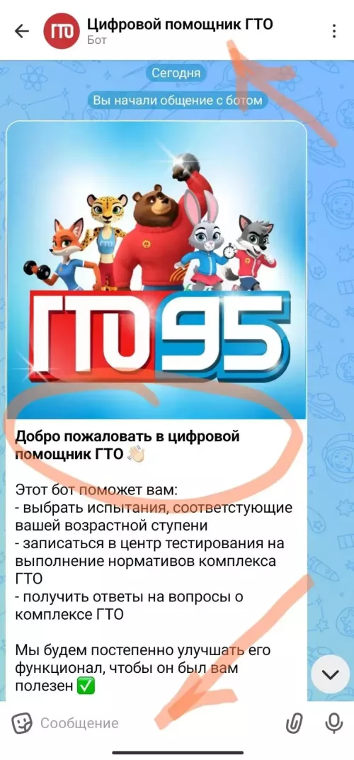 Новый сервис: «Цифровой помощник ГТО»