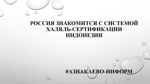 Россия знакомится с системой халяль-сертификации Индонезии
