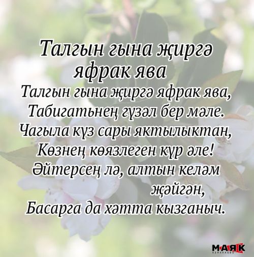 Резеда Шәрипованың иҗаты