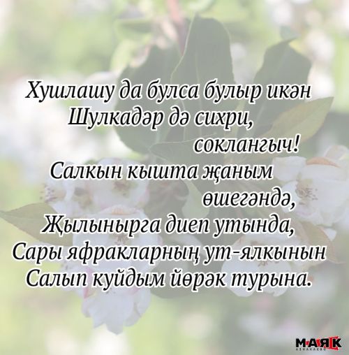 Резеда Шәрипованың иҗаты